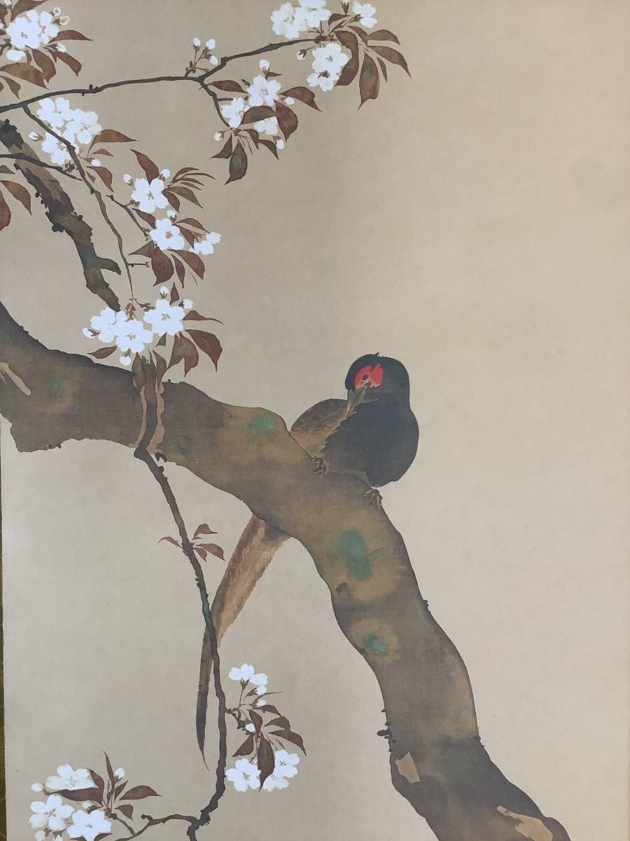Amazon.co.jp: 模写掛軸R4-9-19B酒井抱一『桜に雉子図』絹本 工芸 印刷